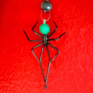 From Brazil, glass window spiders